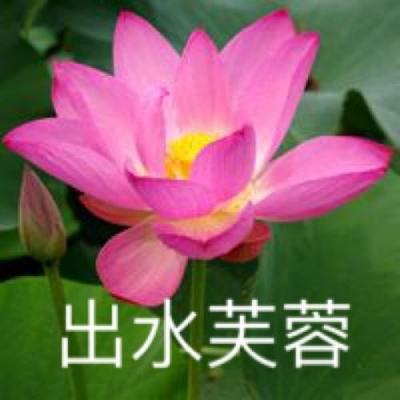 梦幻甜品屋破解版下载